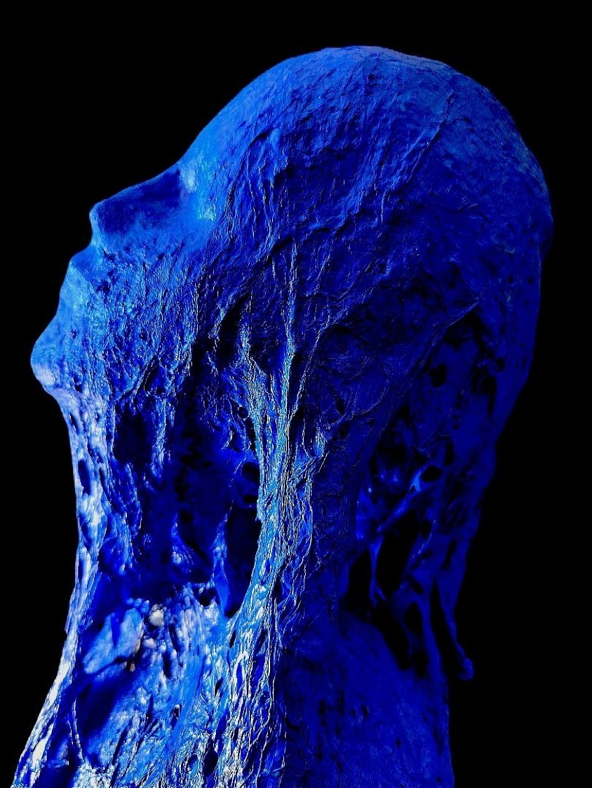 Titolo MATRICE, anno 2026 Film plastico industriale termoformato con calore e fiamma, Dimensioni 180X50X90 Cm